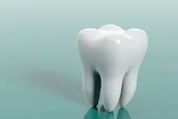 خوراکی‌های محافظ دندان کدام‌ها هستند؟