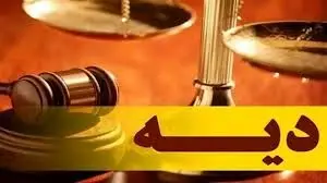 آیا اتباع غیرمجاز هم می‌توانند دیه دریافت کنند؟