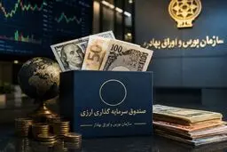 آزمون صندوق سرمایه گذاری ارزی / صندوق ارزی چگونه کار می کند؟